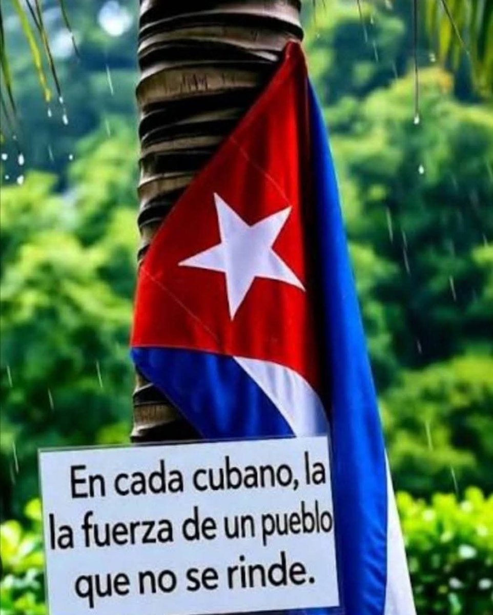 ♥️Que la dureza de estos tiempos no nos hagan perder la ternura de nuestros corazones, esa que es imprescindible para resistir y vencer, porque el verdadero revolucionario está guiado por grandes sentimientos de amor.
¡Felíz día del amor y la amistad!