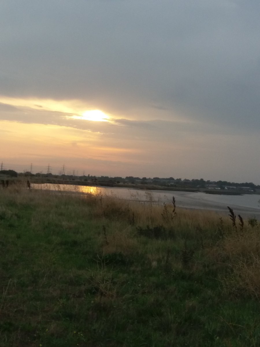 hentastic1's tweet photo. Start of a sunny day at Rainham, 66 species inc White fronts, Curlew, Barwit, Black t Godwits, Avocets, Dunlin, Snipe everywhere, Common S/piper, Pochard, Pintail, Wigeon, Teal,Gadwall, Raven, kites, Marsh Harriers, Buzzards, Stonechats, and a Spitfire https://t.co/pr6P1ZnMLS