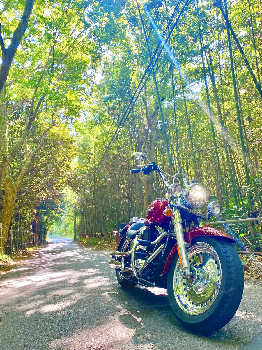 bike_Masaki's tweet photo. 名前:マサキ
性別:おとこ
年齢:31歳
身長:171cm
住み:千葉県
車種:ファットボーイ(flstf)
趣味:バレー、筋トレ
一言:バイク乗りの知り合い少ないので仲良くしてください!
#バイク乗りとして軽く自己紹介 #バイク好きと繋がりたい #ファットボーイ #flstf #ハーレー https://t.co/Ymieg8JG0S