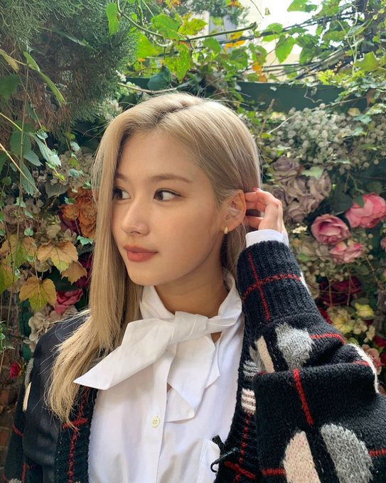 misahyundk's tweet image. さなちゃんの美しさやばい…

#TWICE #SANA