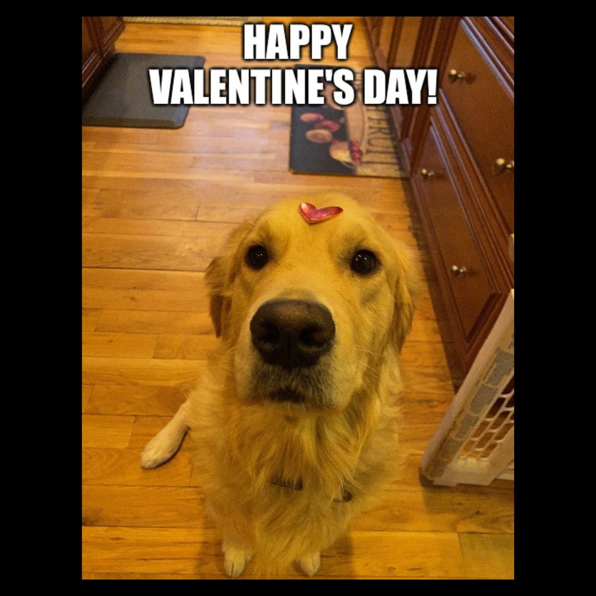 Pickles and HCL wish you a Happy Valentine's Day! ❤️🫶