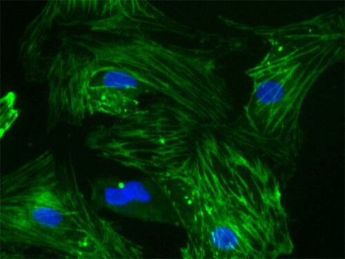 ISS National Lab tweet media