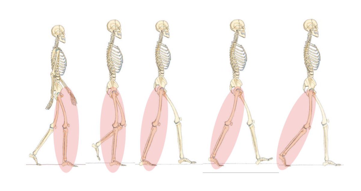 募集開始しています