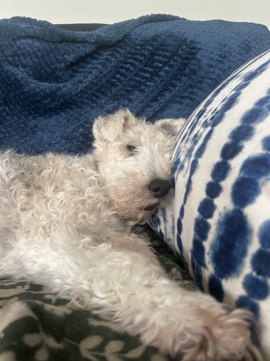 Today’s Nell cam 💕💕