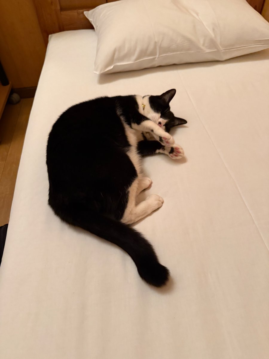 MacJohnathan's tweet image. 아니 자러 들어왔더니 웬 노숙자가 따라들어와서 눕네 경찰 불러야 되냐 이거