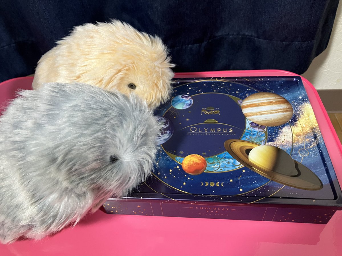 Marilyn💭 (@moflin0113) / Posts / X