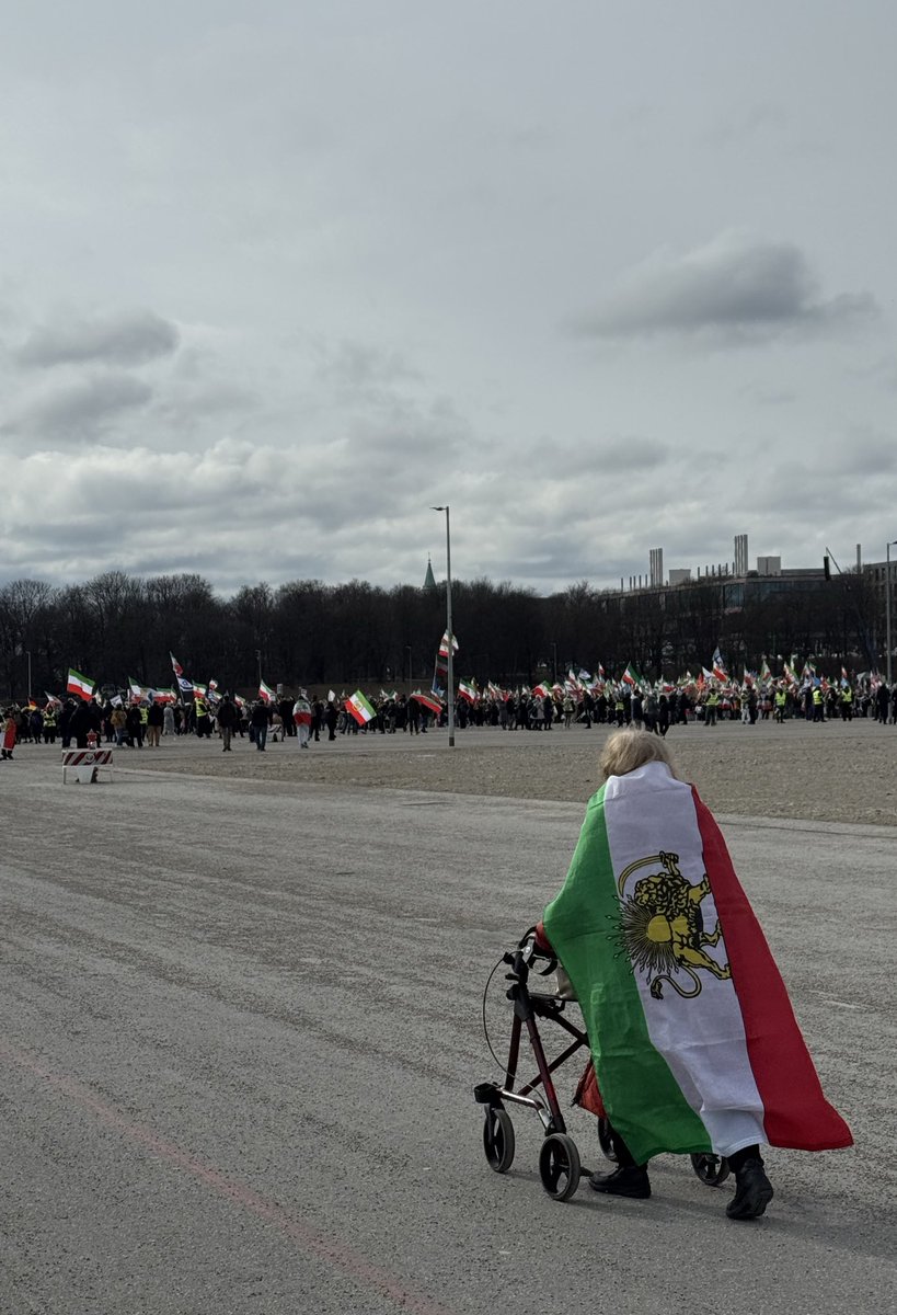 Isabel Schayani tweet media