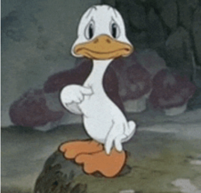 Elisabeth Marchini tweet media