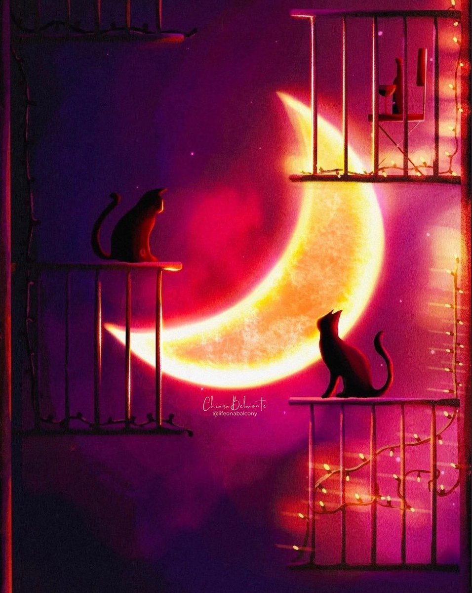 Chiara Belmonte - Lifeonabalcony tweet media