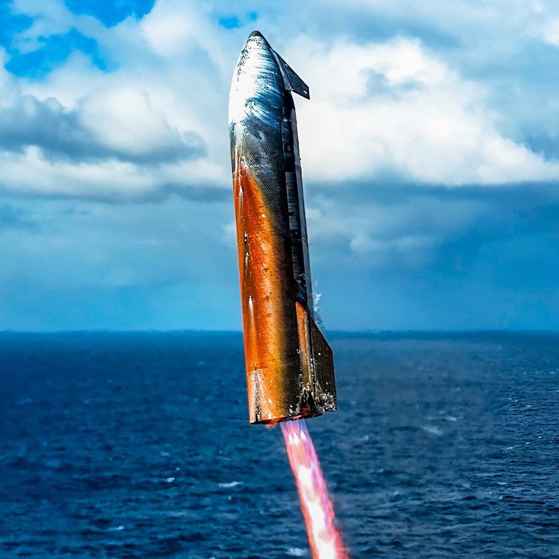 DogeDesigner tweet media