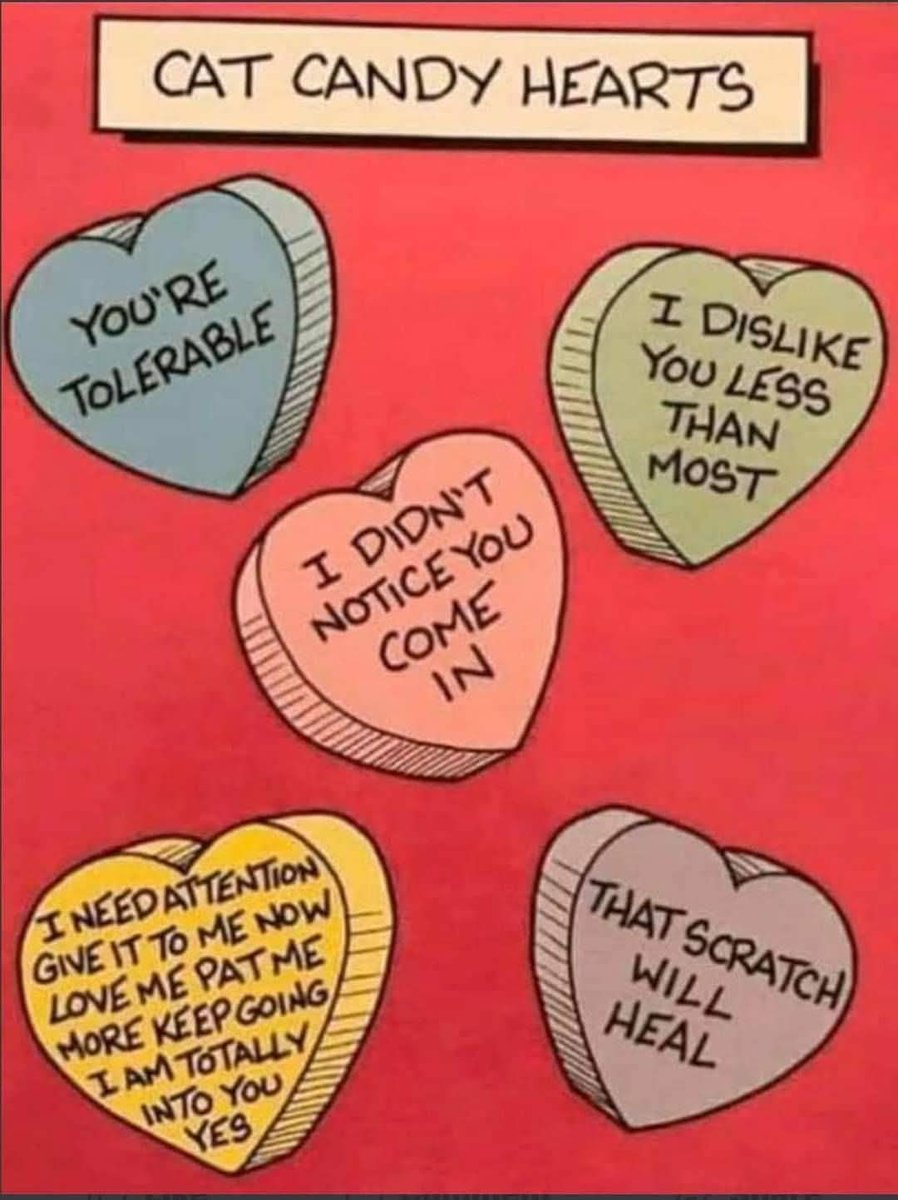 Snotz Casebere (@snotzthecat) on Twitter photo 