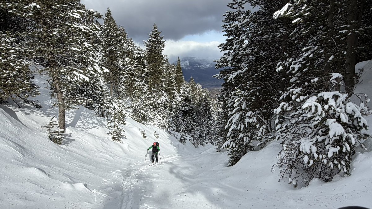 Jaume Jubert Ferré tweet media
