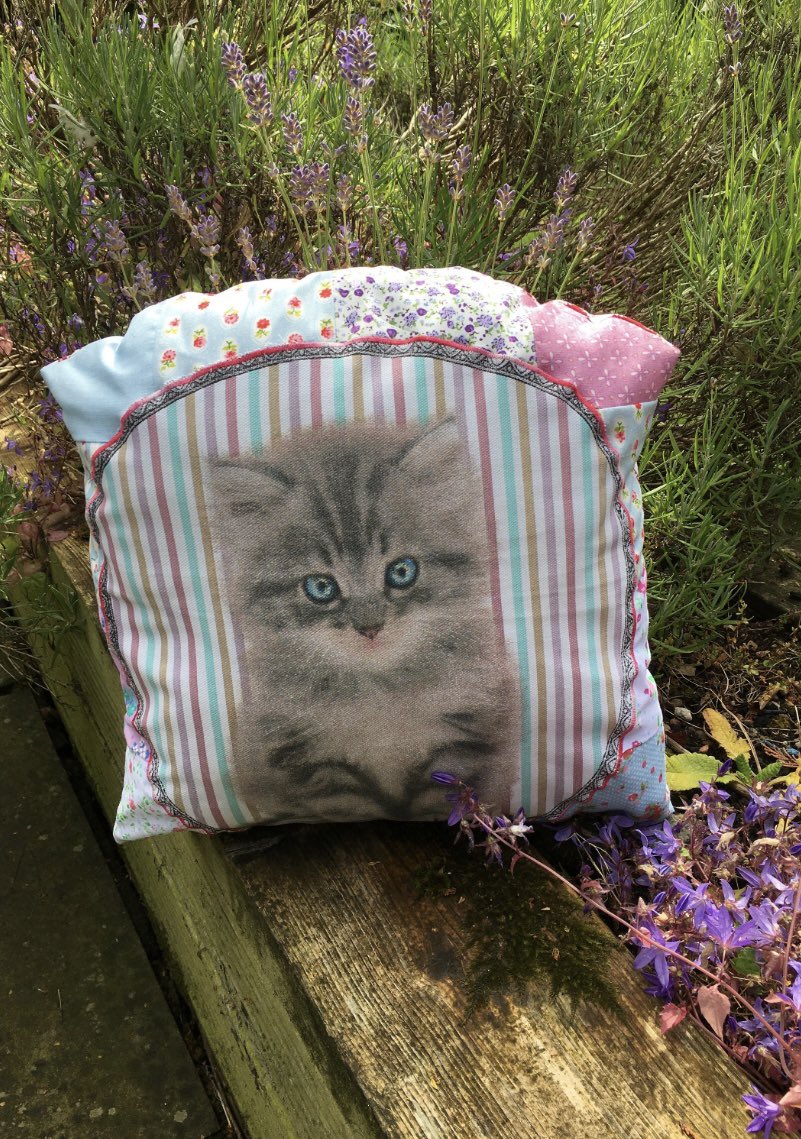 ZebraMingo's tweet image. Happy #caturday! zebramingo.etsy.com/listing/440158… #lovecats #WeekendReads #MothersDay