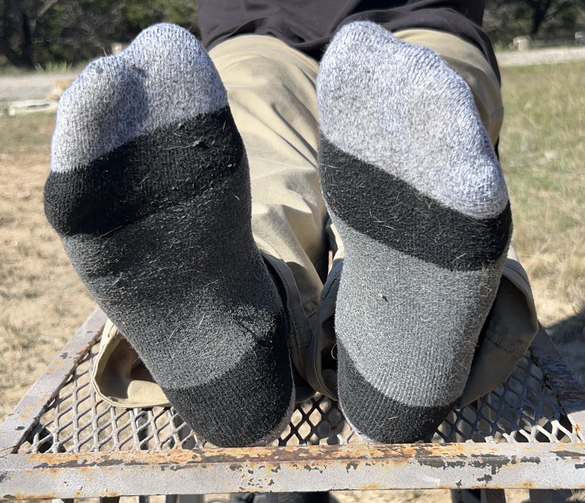 🔞Charles_The_Venom_Cat🔞 tweet media