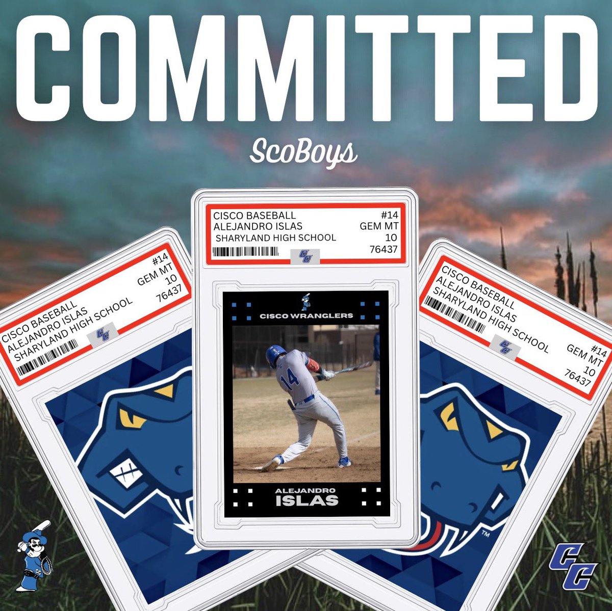 Cisco Baseball tweet media