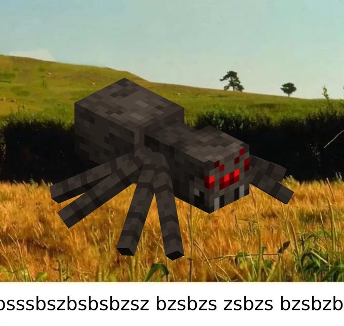 🐙 ventoson XD 🐙 tweet media