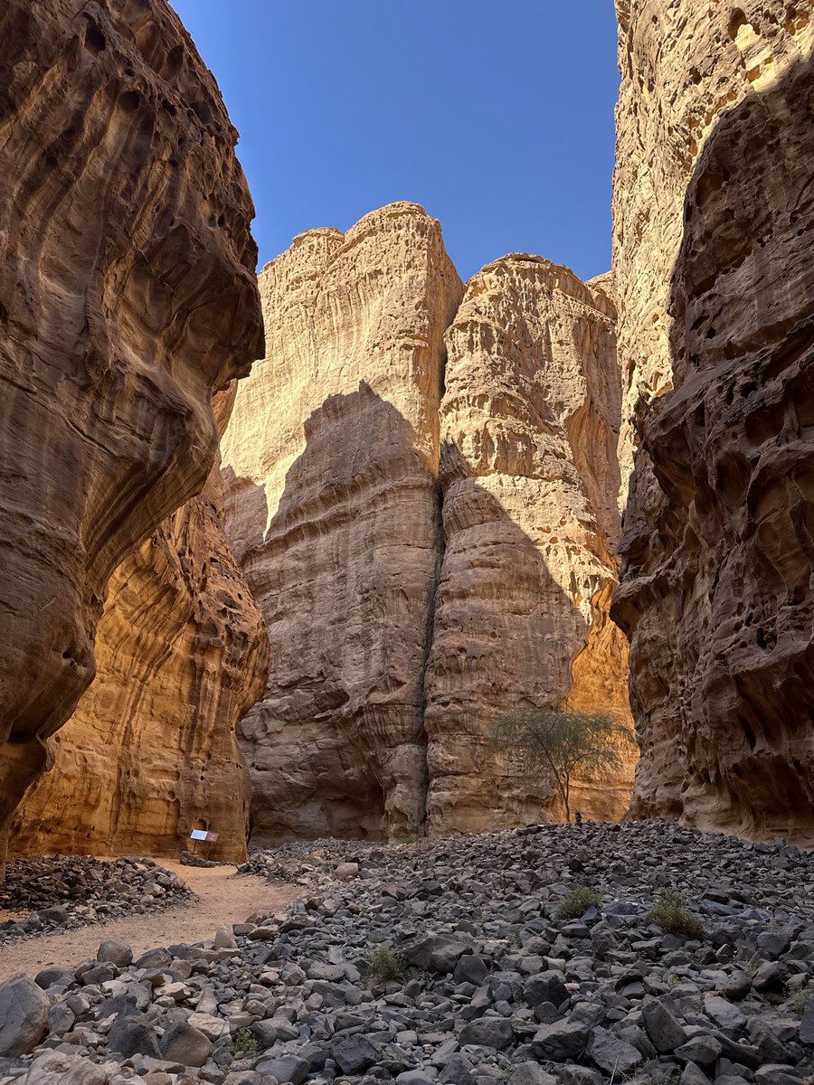 誇りに tweet media