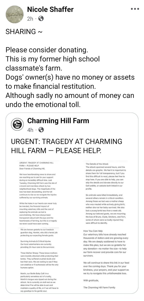 Nicole Shaffer 🐾 tweet media