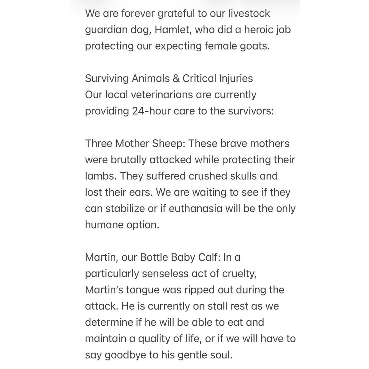 Nicole Shaffer 🐾 tweet media