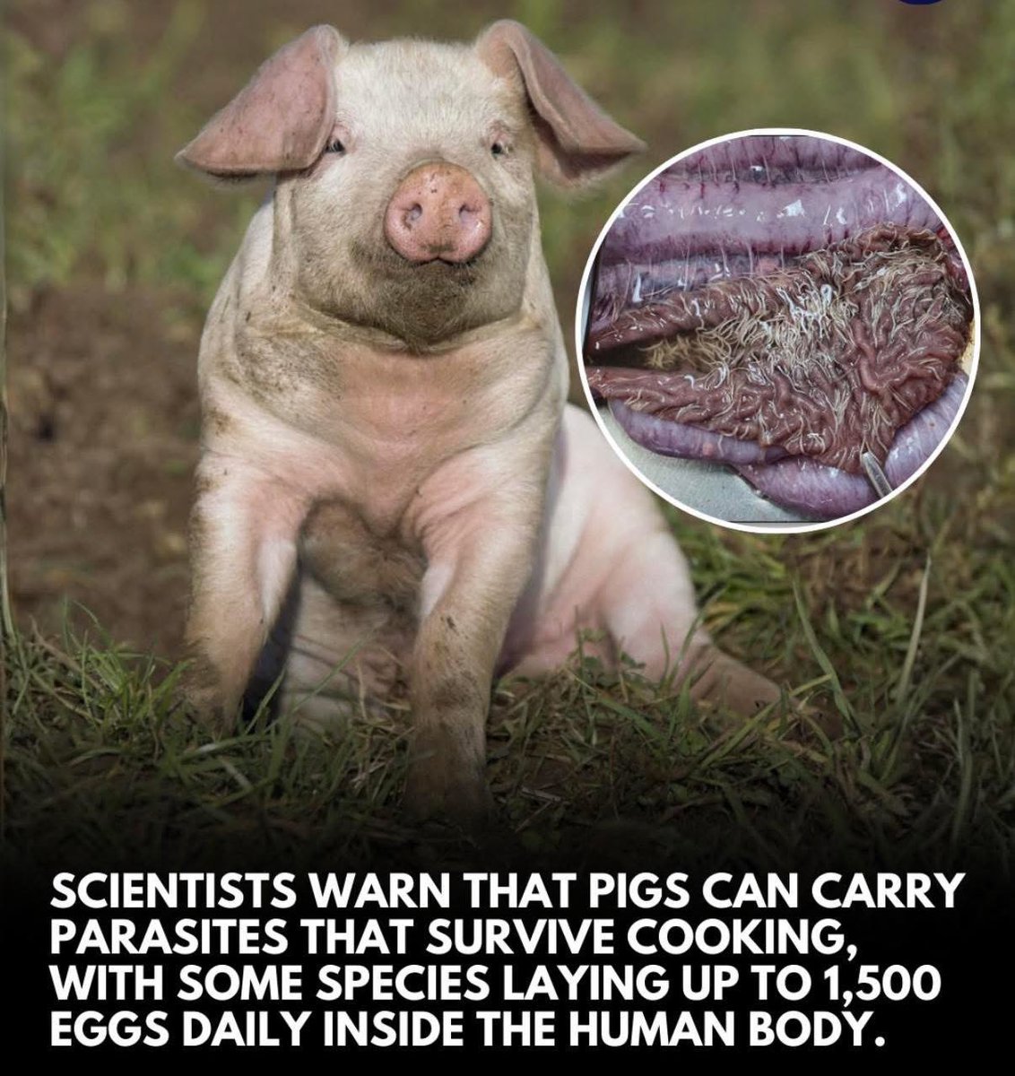 TWAR___SA🇿🇦 tweet media