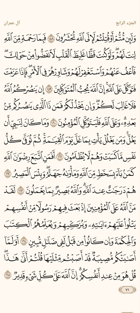 ْمحمد علام tweet media