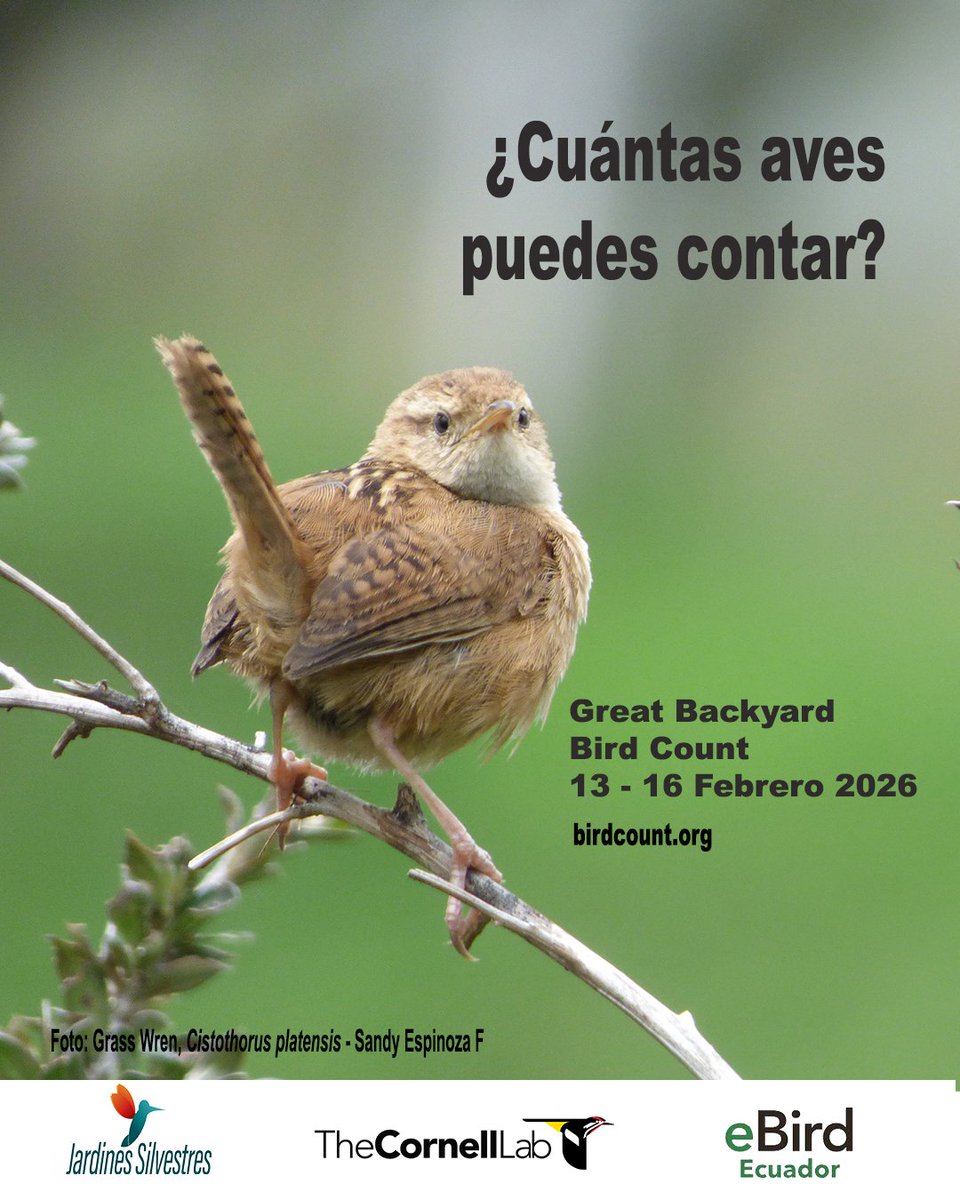 Sandy Espinoza F tweet media