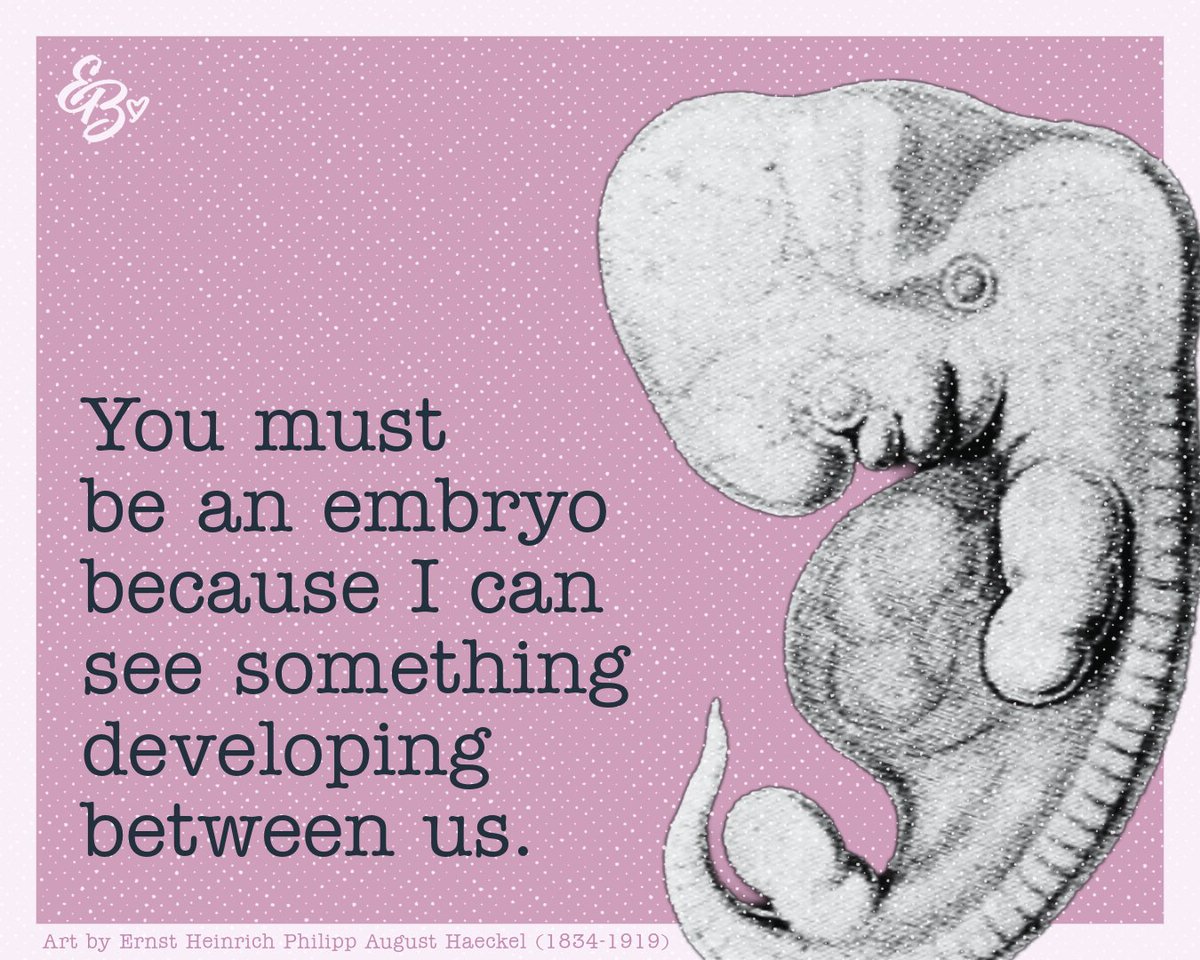 EmBerning's tweet image. Valentine’s Day is all about celebrating the people we love. ❤️ Share these pro-life cards with your loved ones, and let me know in the comments which one is your favorite!