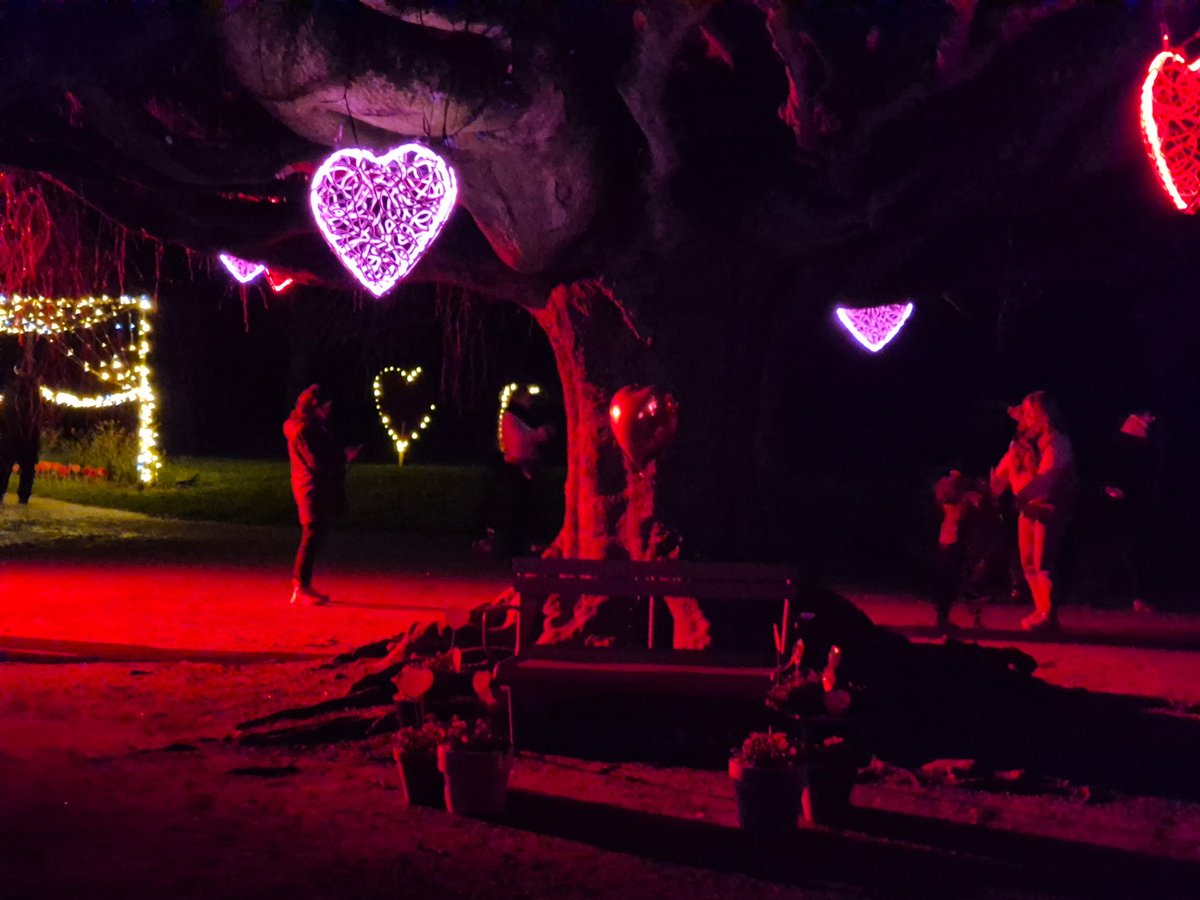 Depuis mon <a href="/train_nomad/">SNCF NOMAD TRAIN</a> 857122 Caen Le Mans je vous souhaites une belle fete de l Amour que vous soyiez en couple solo en famille avec un compagnon a 4 pattes ou juste entre amis ...
L Amour existe sous differentes formes
Alors souriez et soyiez  heureux