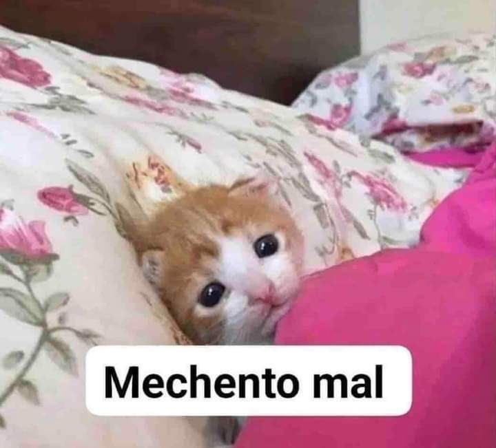 yo después de comerme algo que sabía que me iba a doler la barriga pero aún así me lo trague