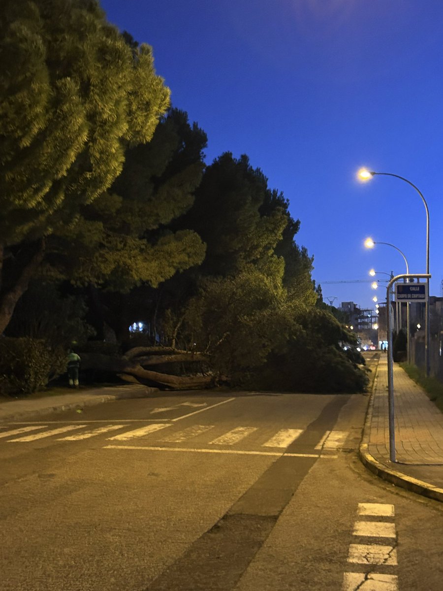 wikiCR Ciudad Real tweet media