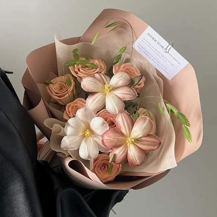 ⠀
⠀⠀⠀⠀  ⠀⠀﹒﹒  ❀  ’⠀¡ <a href="/lamentisk/">𝘬𝘢𝘬𝘢𝘴𝘩𝘪.</a> !⠀ ׄ 
ㅤ  
⠀⠀✿ຼ⠀──⠀‘ <a href="/cuervoneqro/">𝘖𝘣𝘪𝘵𝘰.</a> ’⠀te ha enviado un muy precioso y especial regalito junto a una linda nota.
⠀ ͏ ͏
⠀⠀⠀⠀⠀⠀⠀⠀⠀  ｡ ⠀⠀⠀⠀｡⠀ ⠀⠀⠀｡
⠀