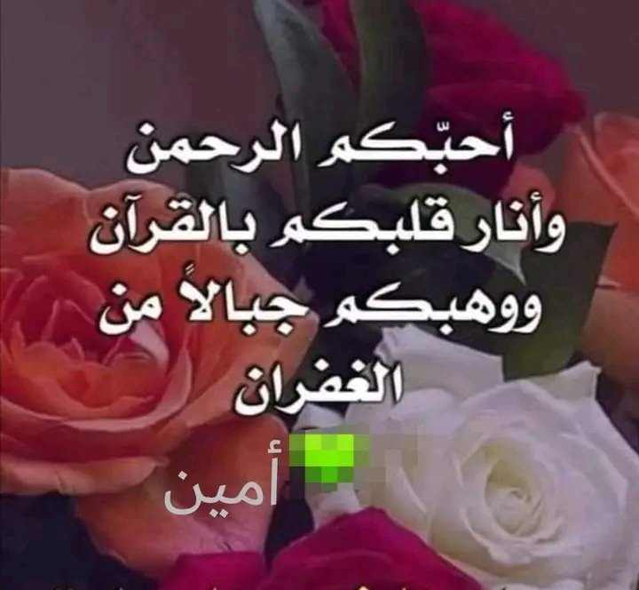 ام تركي tweet media