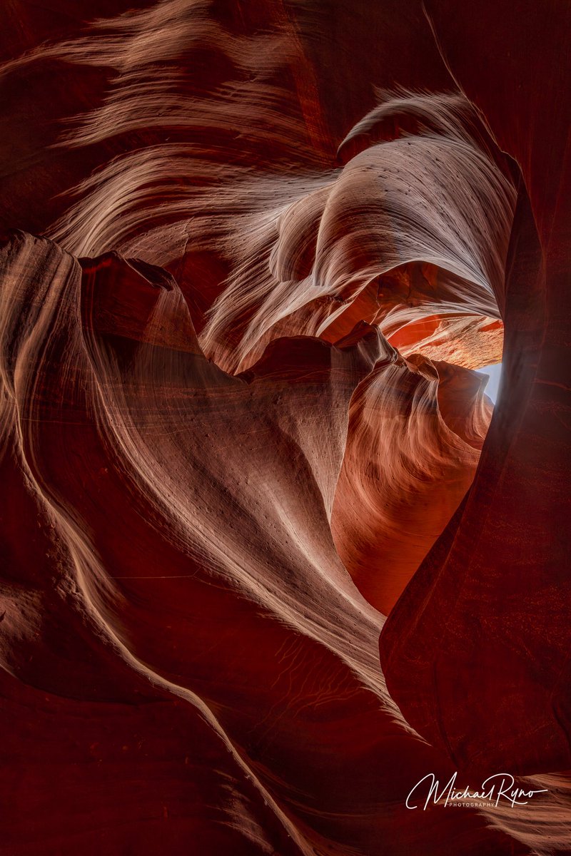 mnryno34's tweet photo. Happy Valentine’s Day!    #ValentinesDay #Arizona #photography #thephotohour https://t.co/TgVOFQDKu7