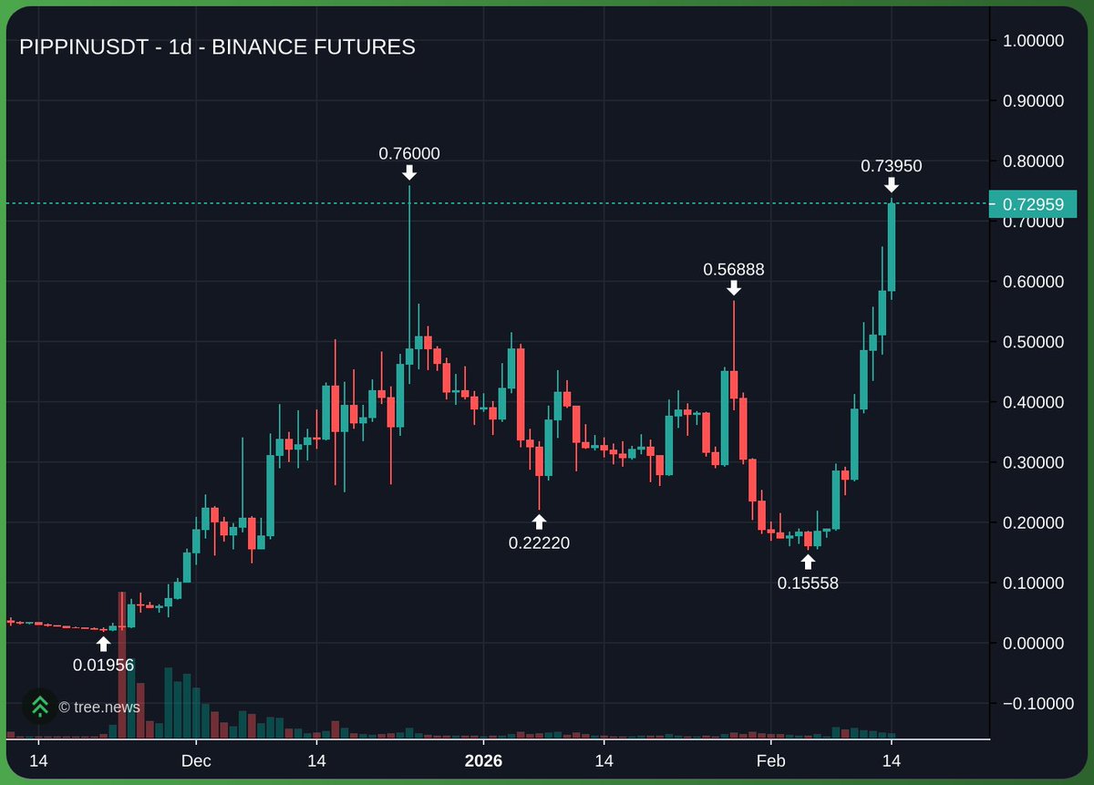 $PIPPIN Option two it is, filling the wick damn.