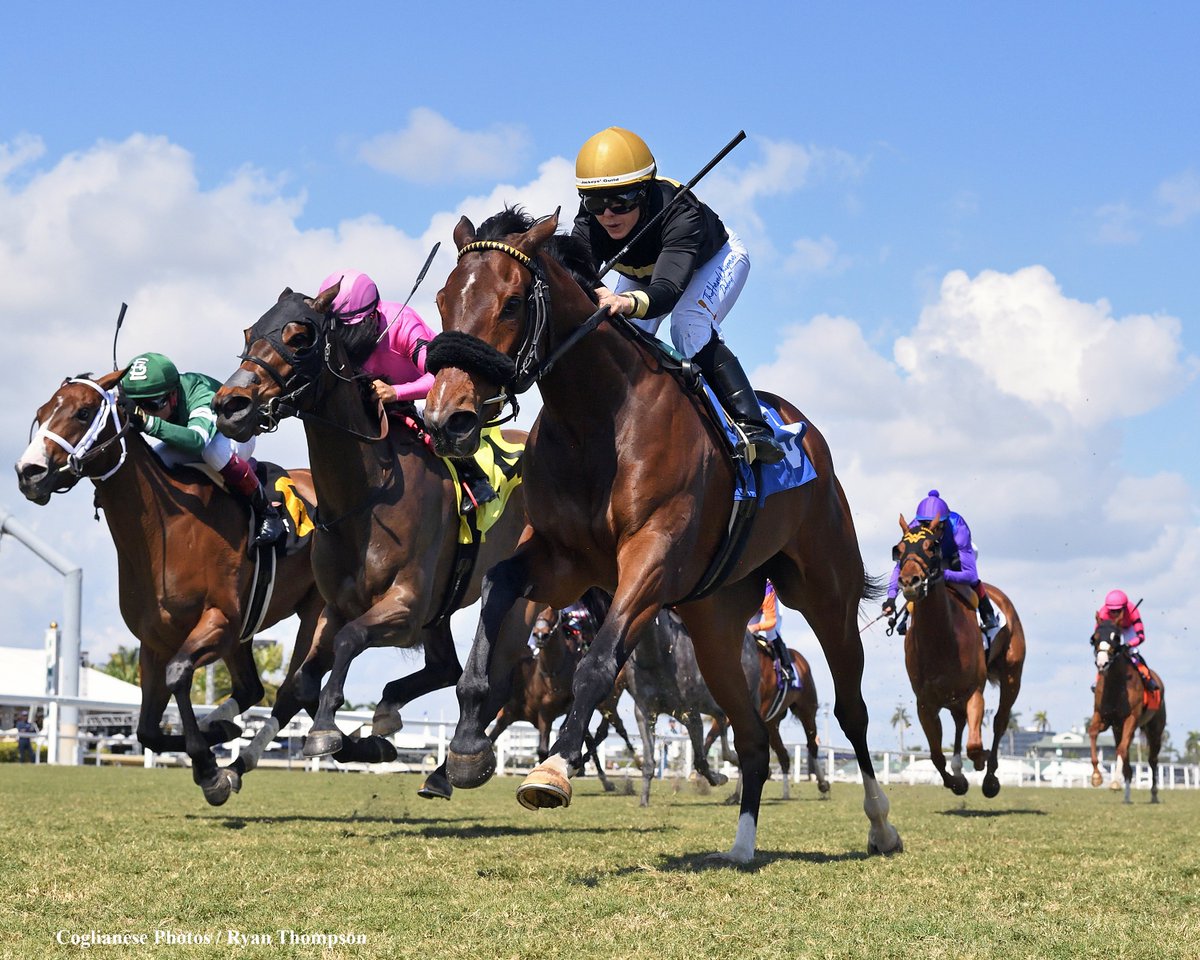 Ryan Thompson tweet media