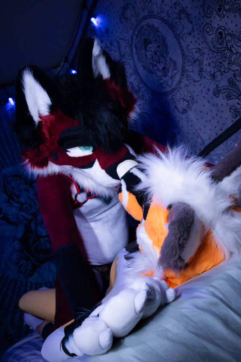 VXNRGY's tweet image. This year is the first time I get to truly experience Valentine's Day 😳

And I get to share it with the best fox in the world, my boyfriend, my mate 💞💞🥰

I love you more than anything in the universe my puppy 🤍🤍

Happy Valentine's Day!!!

📸 @HashHyena