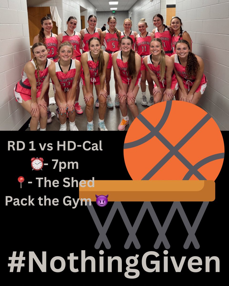 DNH Girls Basketball tweet media