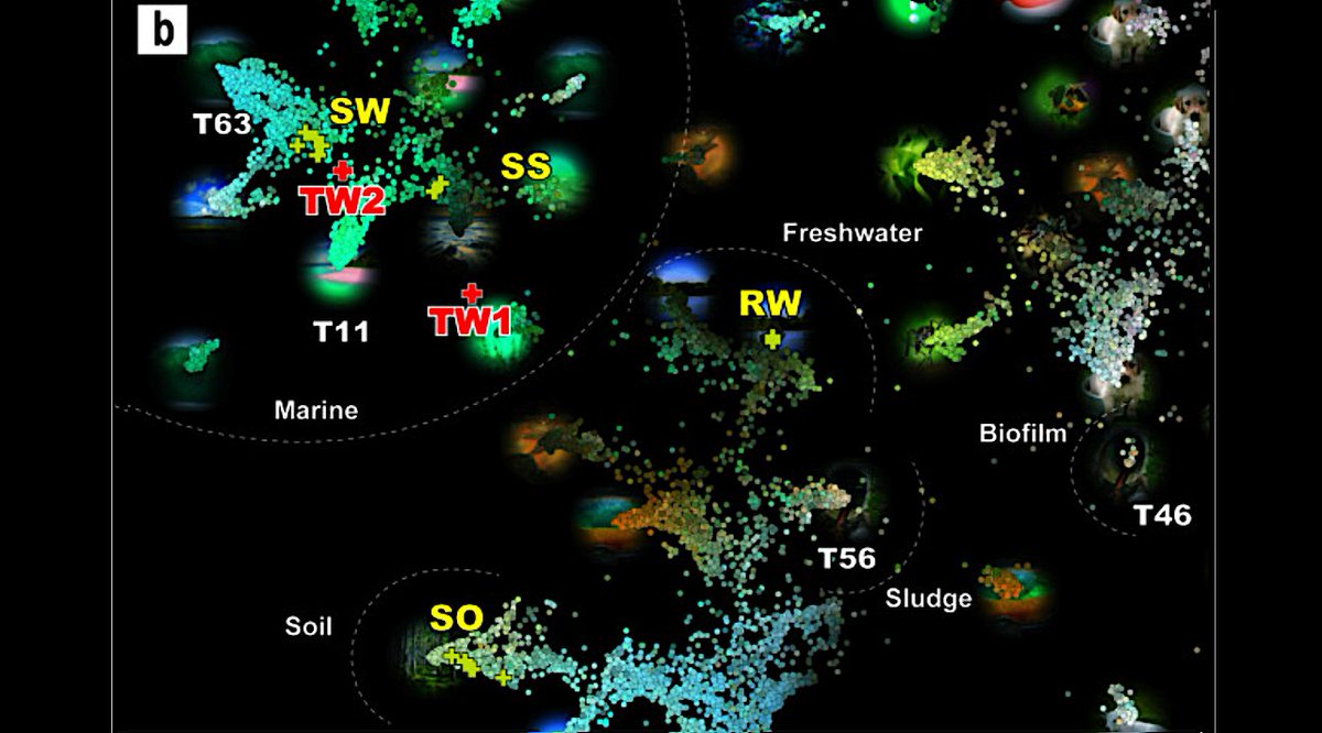 astrobiology's tweet image. Studying Bacteria That Live Inside A Damaged Radioactive Nuclear Power Station
astrobiology.com/2026/02/studyi…  #astrobiology #radiation #extremophile
