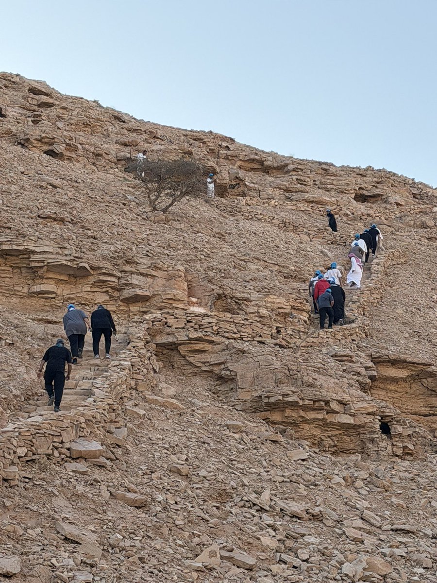 مكتب رواد كشافة الأفلاج tweet media