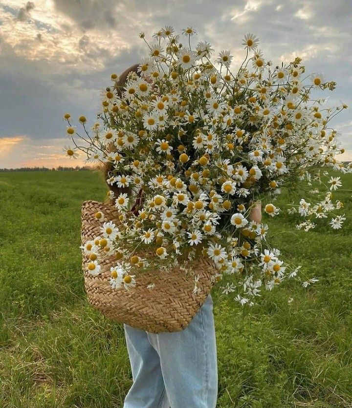 greenvibe's tweet image. 