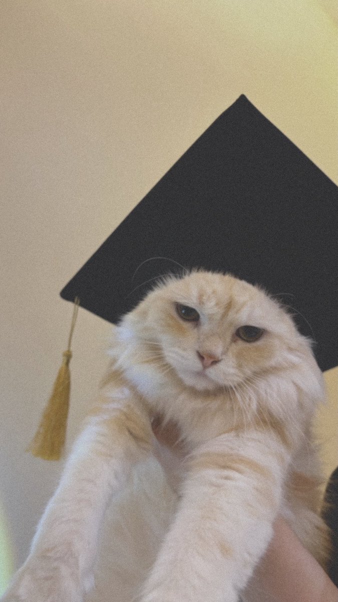 رغَد نَادِر🎓 tweet media