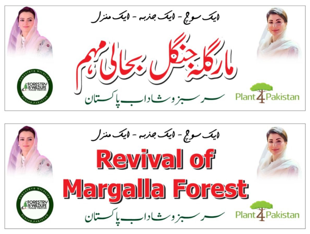 نکولسن مونومنٹ، B-17 کے قریب GT روڈ کے علاقے میں ماحولیاتی نقصان کو کم کرنے اور مارگلہ جنگلات کی بحالی کے لیے پنجاب جنگلات کے اشتراک سے 14 فروری کو شجرکاری کا پروگرام منعقد کیا جا رہا ہے۔
مقامی کمیونٹی، نوجوان گروپس، طلبہ، اقلیتیں اور سول سوسائٹی کے ارکان شریک ہوں گے۔ تقریب میں