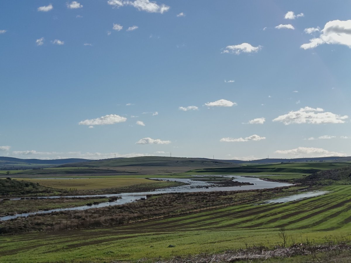 sobrino_antonio's tweet photo. El #Guadiana este sábado a su paso por #Picón entre el #Vicario y el #Alarcos
#ComparteTuFotoDelDía https://t.co/2fOseggVNP