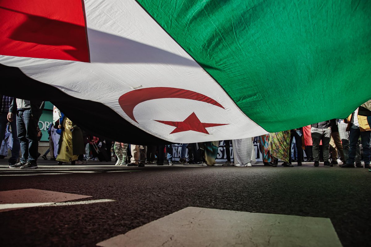 ‼️#Marruecos 🇲🇦 publica algunos puntos de su 'plan de autonomía' para el #Sáhara Occidental 🇪🇭 

🏛️ Autogobierno regional con competencias amplias en urbanismo, economía y servicios sociales

👑 Presidente regional investido por Mohamed VI como 'garante de la unidad estatal'

🗳️