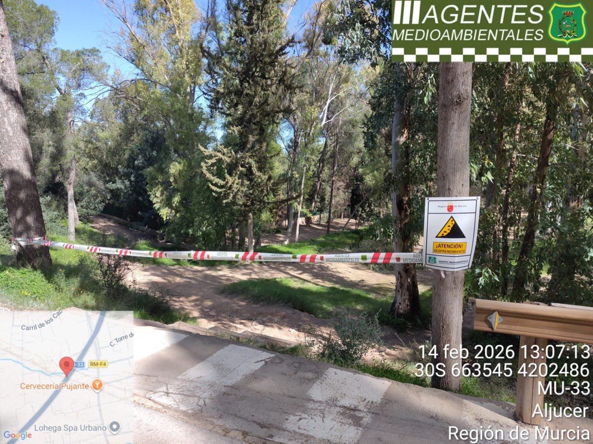 MurciaForestal's tweet image. 2  [INCIDENCIAS] 14/02/26 | Viento

📍 Base Niño de #Mula
📍 Cabecico El Cigarral #Caravaca

📋 Señalización y acotado de zonas con riesgo de caída de ramas y despeje de viales

Seguimos trabajando en montes y espacios naturales @aamm_murcia @defensaforeMUR @AmbientalRM
