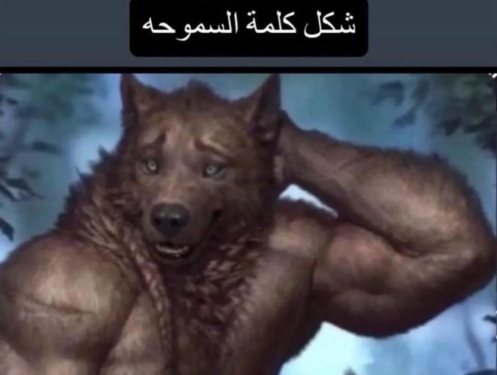 #حرق_كينقدوم 

تو