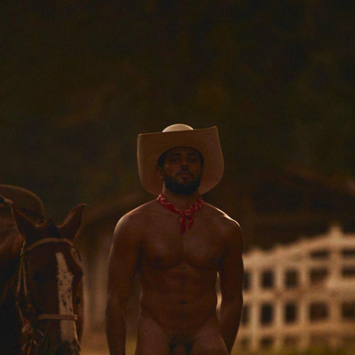 Arquivo Premium tweet media