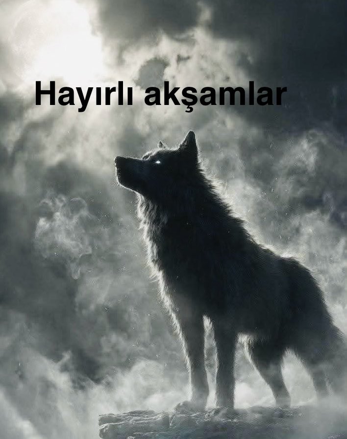 🐺

#Kurt gidenin arkasından ağlamaz  
Yaralarını yeni yol zırhı yapar  

Gül rüzgâra pişman olmaz  
Her fırtınadan sonra daha güzel açar  

Ayağa kalk…  
Yaran gücün olacak 💪
#Bozkurt