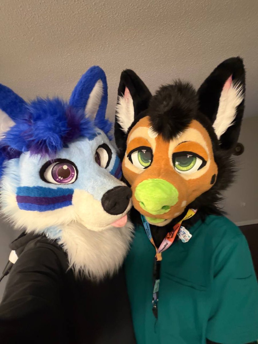 Shaltek 🩵 tweet media