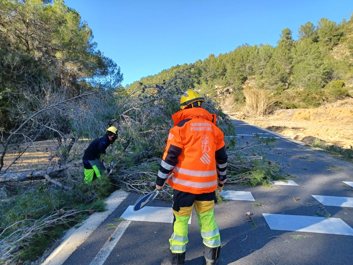 Servei Bomber(e)s Forestals GVA tweet media